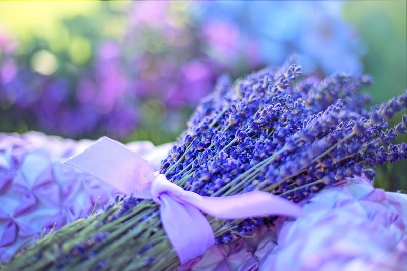 Aromatherapy Garden Guide